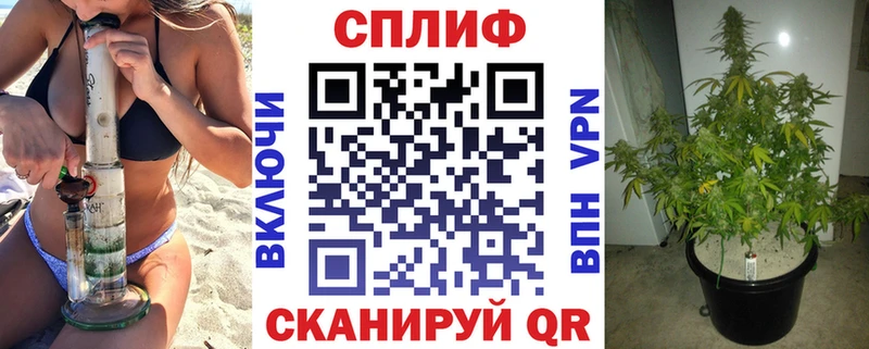 Все наркотики Уржум Марихуана  Амфетамин  гидра   МЕТАМФЕТАМИН  МЕФ  ГАШИШ  A PVP 