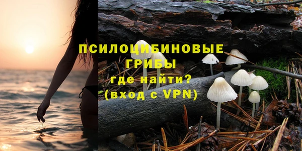 ешки Михайловск